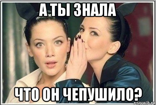 Ты чепушило