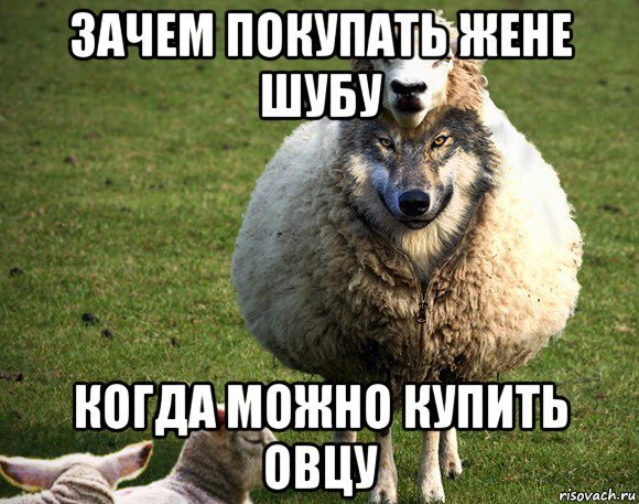 Баран Мем