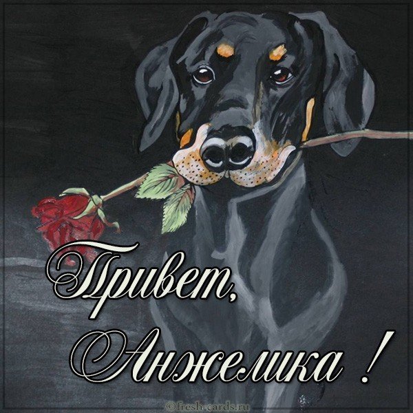 Привет Надя