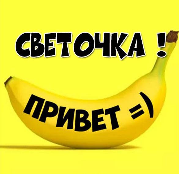 Открытки со шпицами