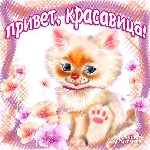 Приветик красотка