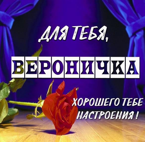 С днем рождения Вероничка
