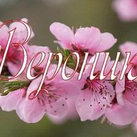 Открытки с именем Вероника