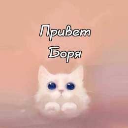 Доброе утро спасибо
