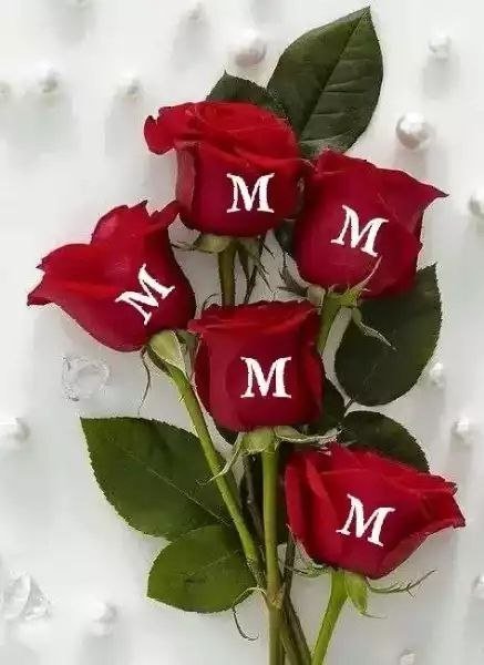 Имя Мунира