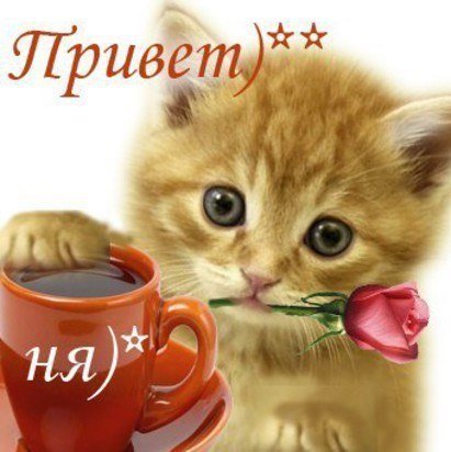 Доброе утро кисуля