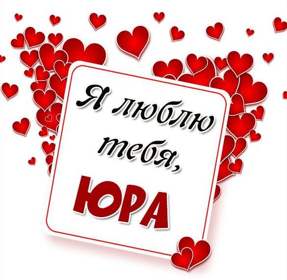 Люблю тебя мой котик