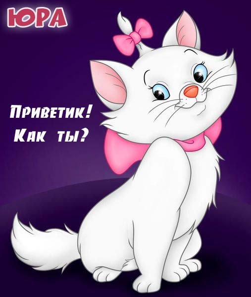 Что любит мишка