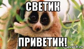 Привет Юра