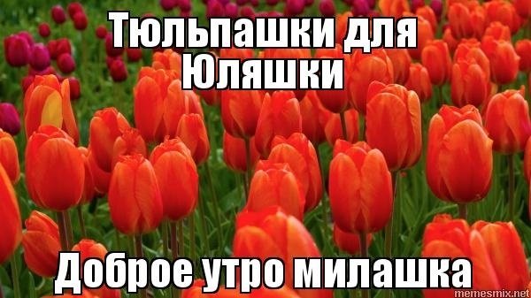 Фото привет Юля
