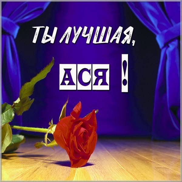Цветок имени Татьяна