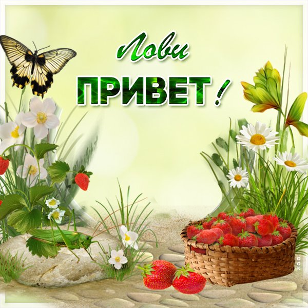 Собачка говорит привет