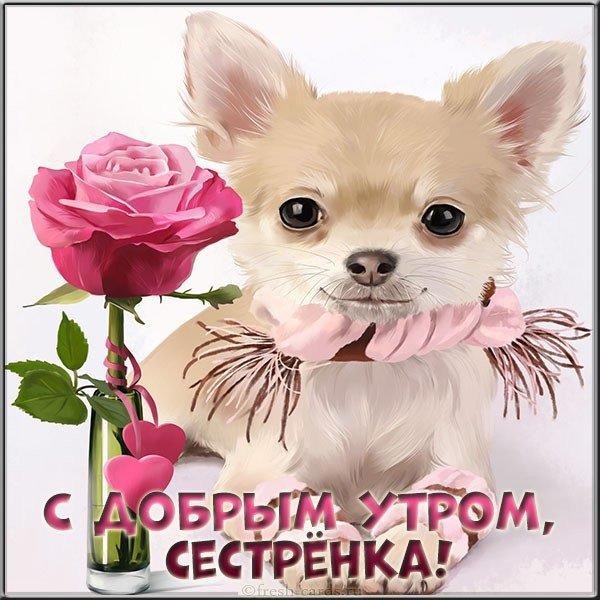 С добрым утром сестренка