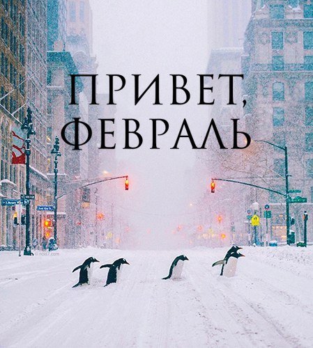 Привет февраль картинки