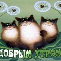 Доброе утро Наташа