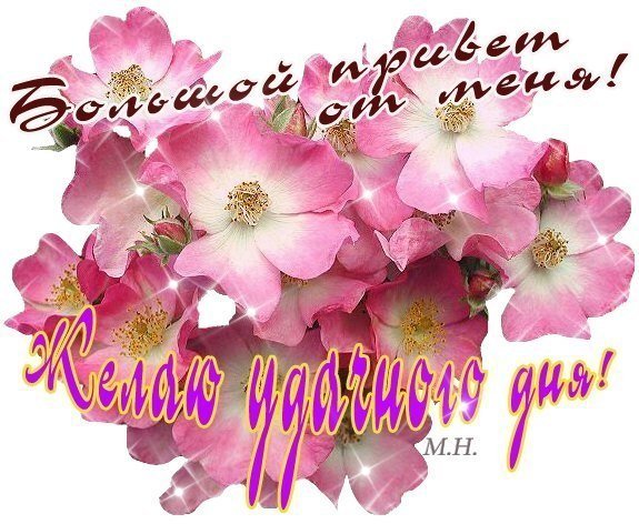 Цветы подруге Наташе