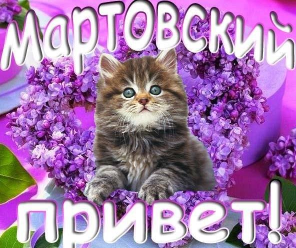 Привет с весной