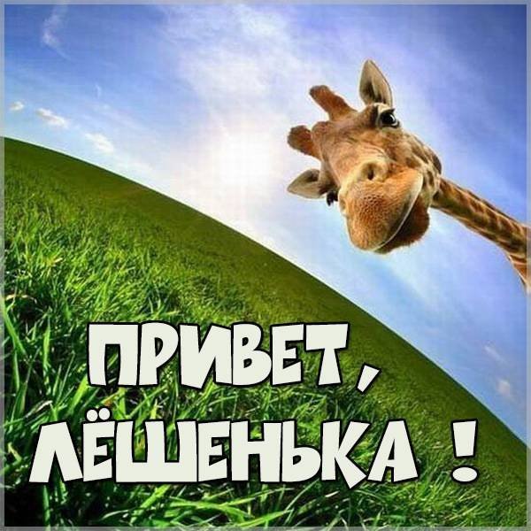 Анимашки прикольные