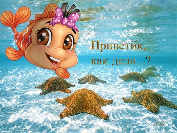 Открытки привет мой друг