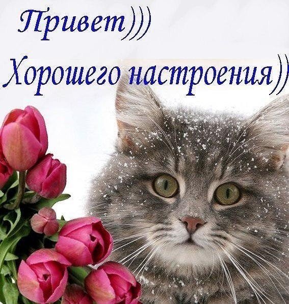 Открытка "хорошего настроения"