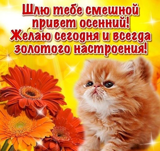 С добрым приветом и пожеланиями