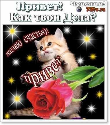 Как твои дела