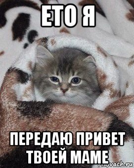 Привет мама