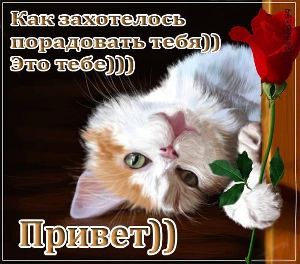 Открытка чтобы порадовать друзей