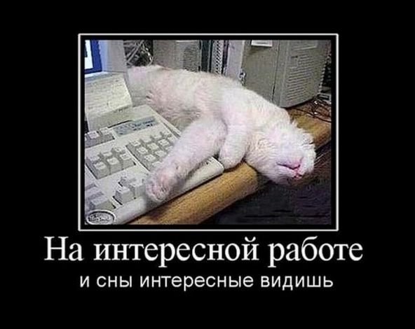 Прикольные картинки про работу