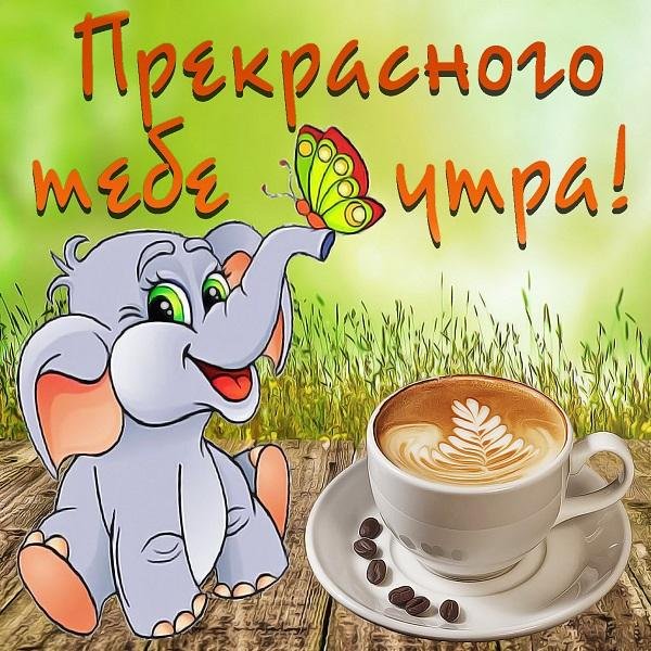 Открытки с добрым утром прикольные