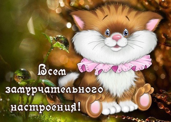 Хорошего настроения прикольные