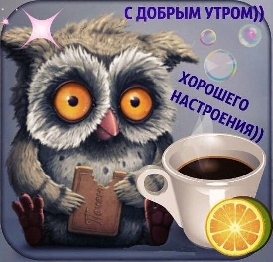 Открытки с добрым утром с совами