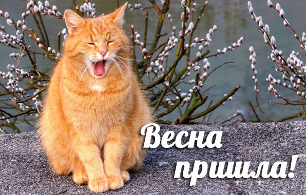 Ура Весна пришла