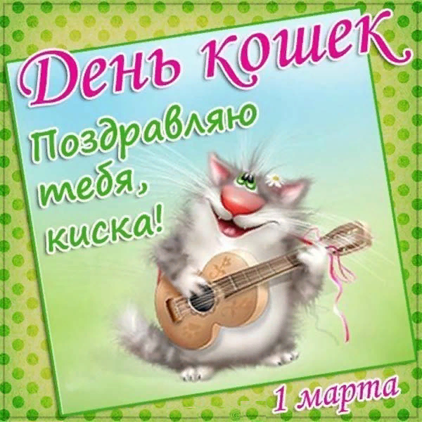 День кошек