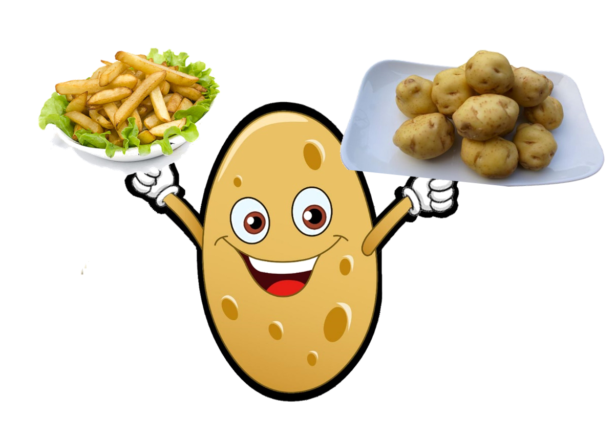 Веселая картошечка. Потейто Потато. Веселая картошка. Картошка мультяшная. Картошка рисунок для детей.