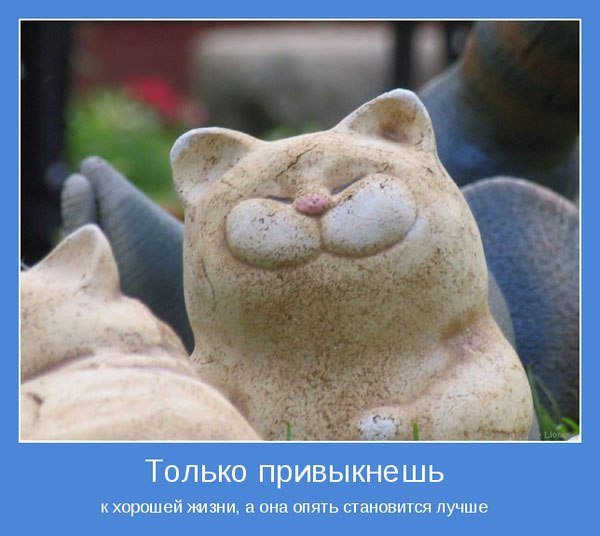 Позитивные мотиваторы для поднятия настроения