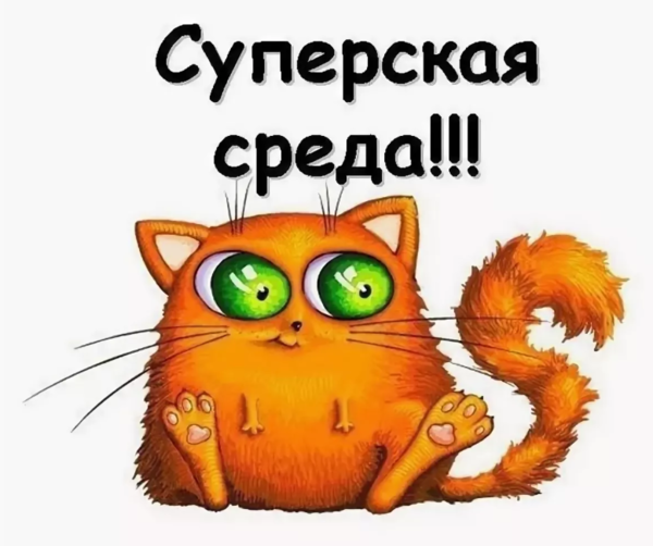 Рыжий кот мультяшный