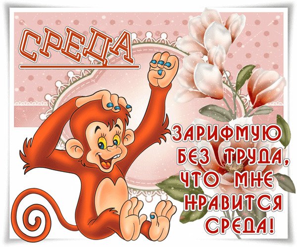 Поздравления со средой в картинках прикольные