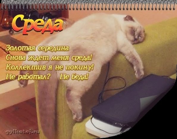 Поздравление со средой прикольное