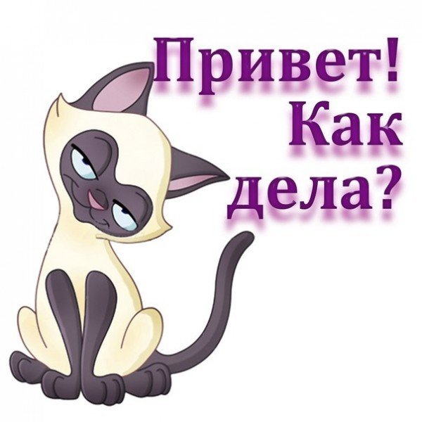Привет как дела картинки
