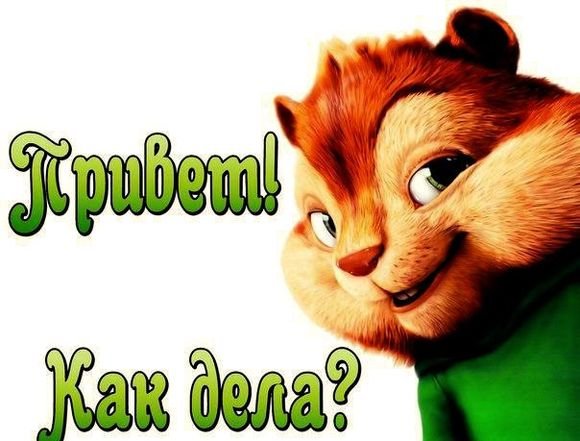 Привет как дела картинки