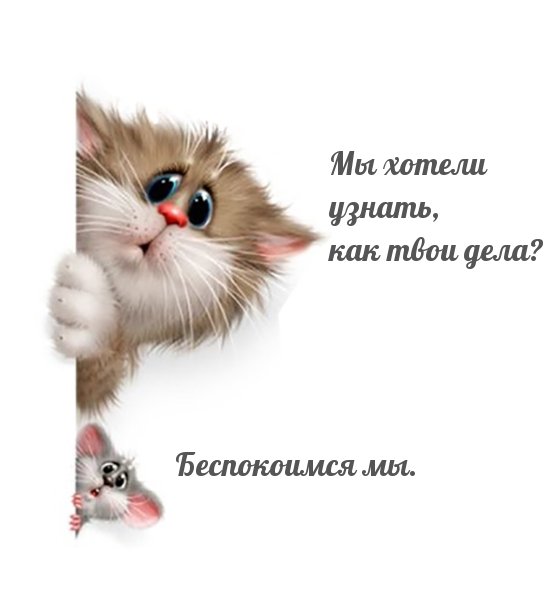 Привет как твои дела картинки