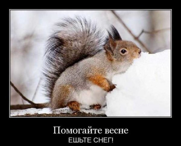 Помогайте весне жрите снег