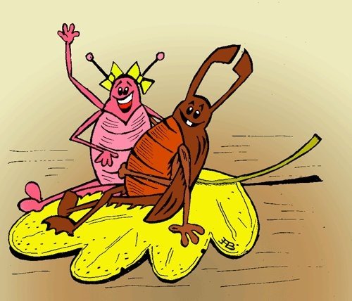 Жук карикатура