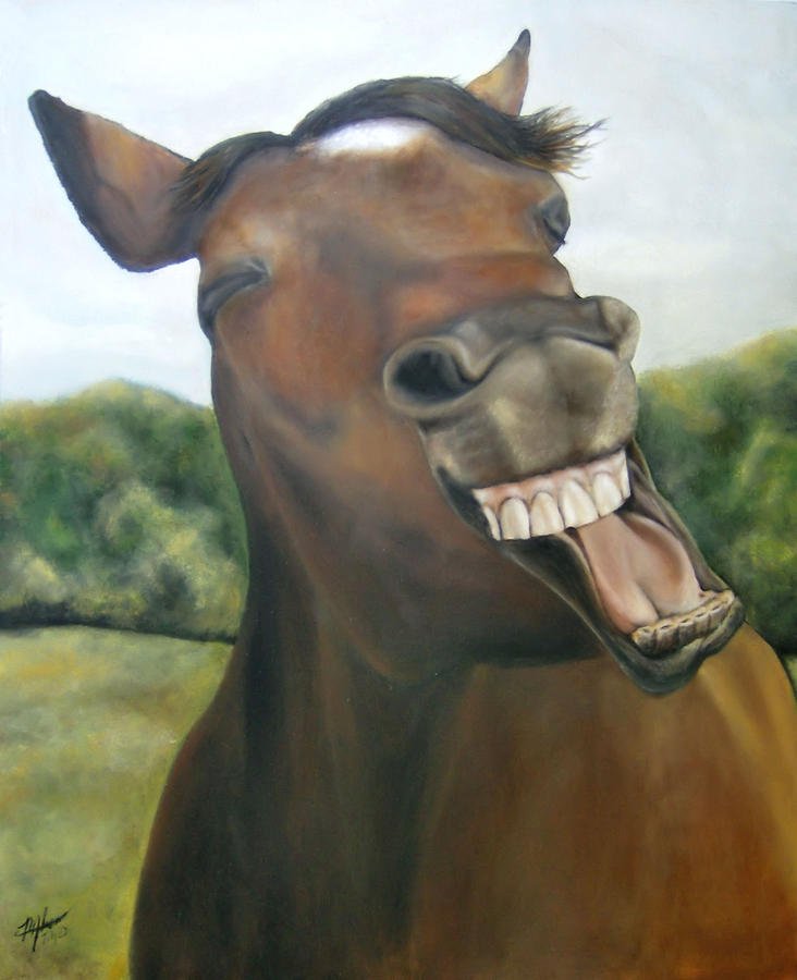 Коня жалко. Морда лошади. Голова лошади. Конь смеется. Лошадь смеется.