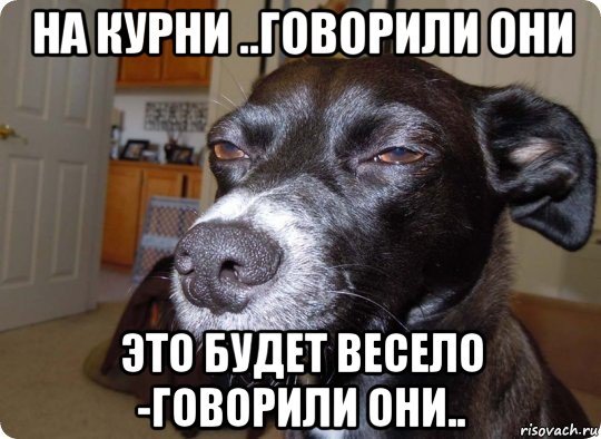 Будет весело говорили они Мем