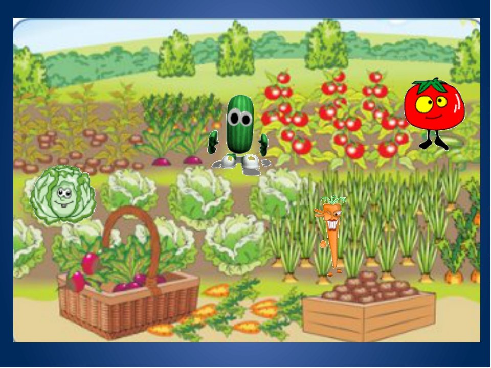 Нарисуем огород там растет два куста ягоды. Огород для детей. Грядка с овощами для детей. Рисование овощи на грядке. Огород рисунок.