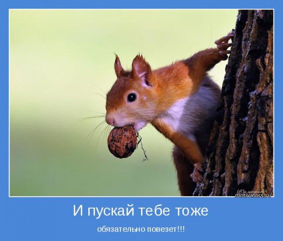 Мотиваторы позитивные смешные