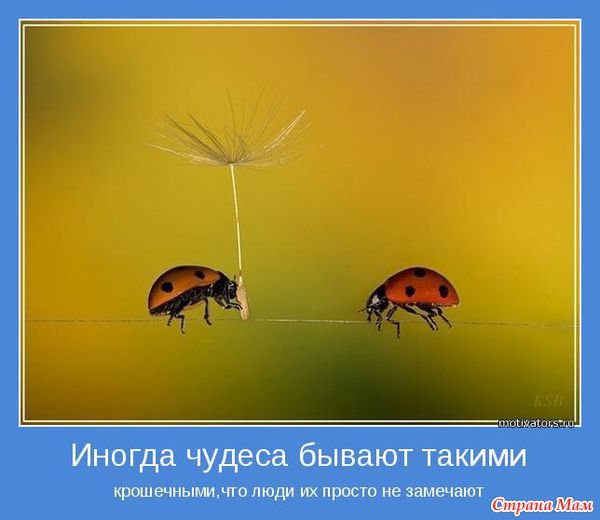 Чудеса бывают!