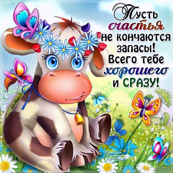 Хорошего дня и отличного настроения